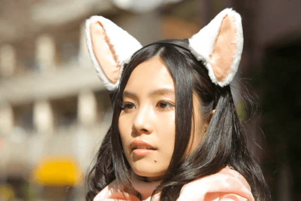 cat_ears