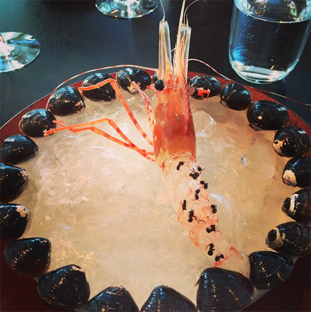 Langoustine and Ants