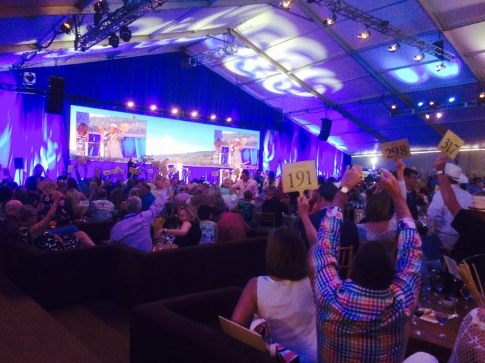 Napa wine auction 2015