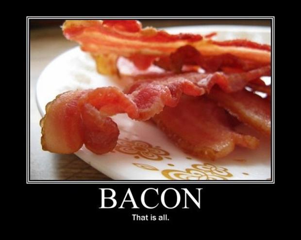 new bacon book