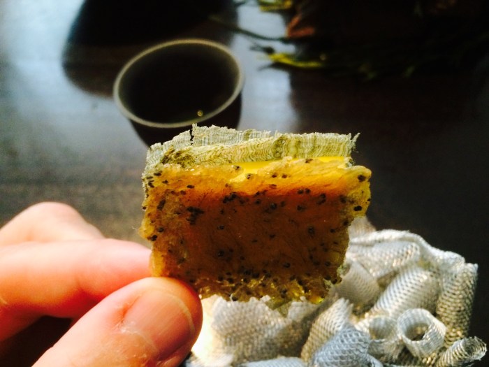 Alinea world's best restaurant menu