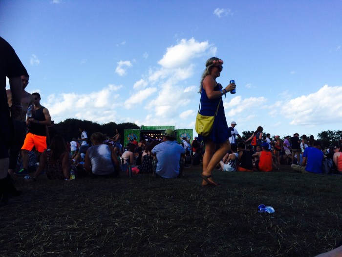 Lollapalooza crowd 2015