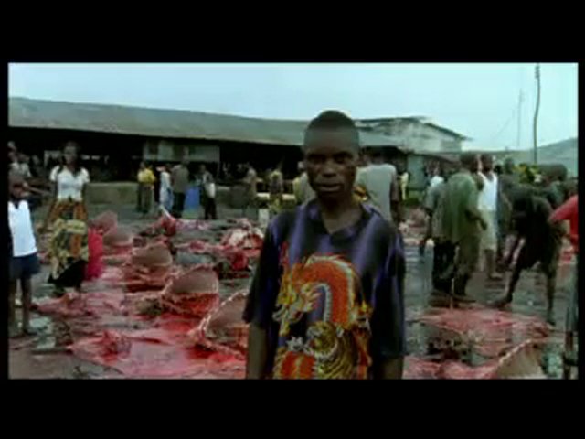Nigerian slaughterhouse