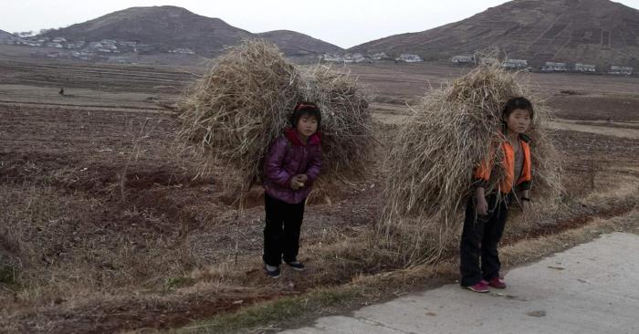 North Korea starving children