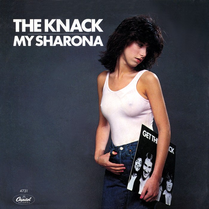 my-sharona-ultimate power pop song