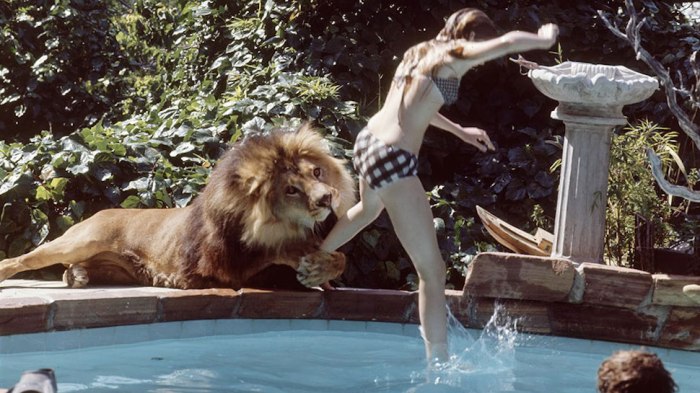 Melanie Griffith Roar