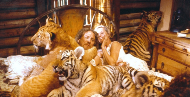 roar-1981