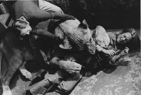 Roar Melanie Griffith