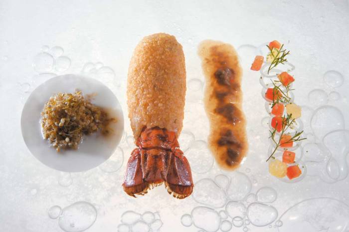 elBulli_langoustine with quinoa