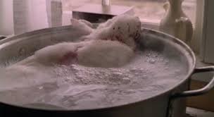 Fatal Attraction bunny