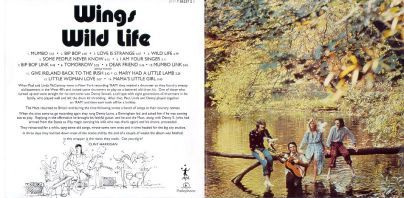 wings wild life bonus version