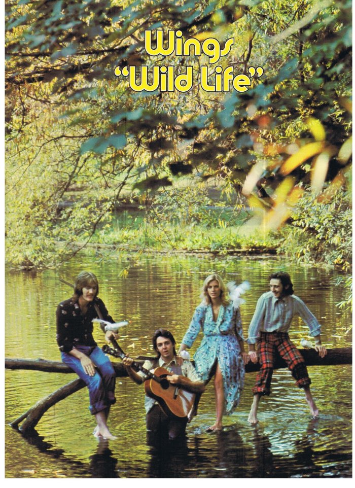 Wings wild life cover