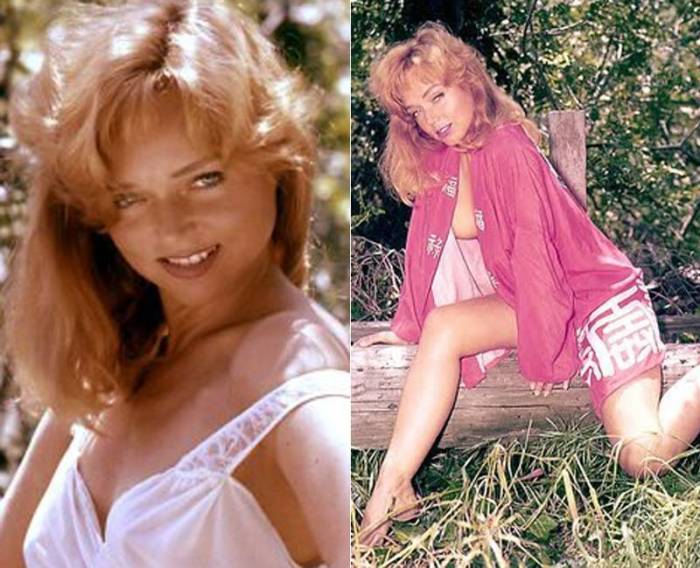 yvette vickers death in beverly hills