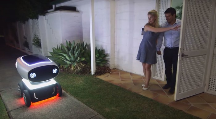 Dominoes pizza delivery robot