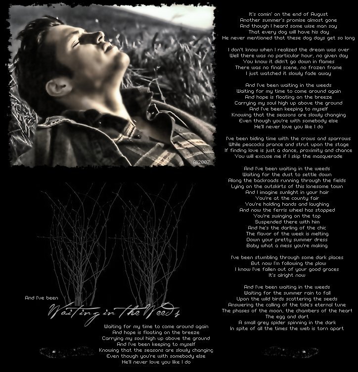 Eagles Waiting In The Weeds