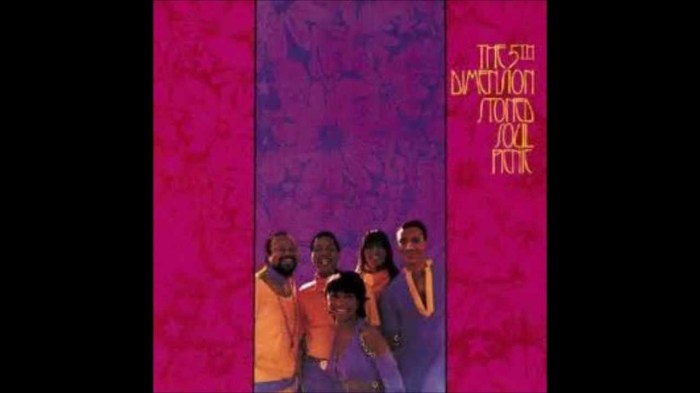 5th dimension stoned soul picnic