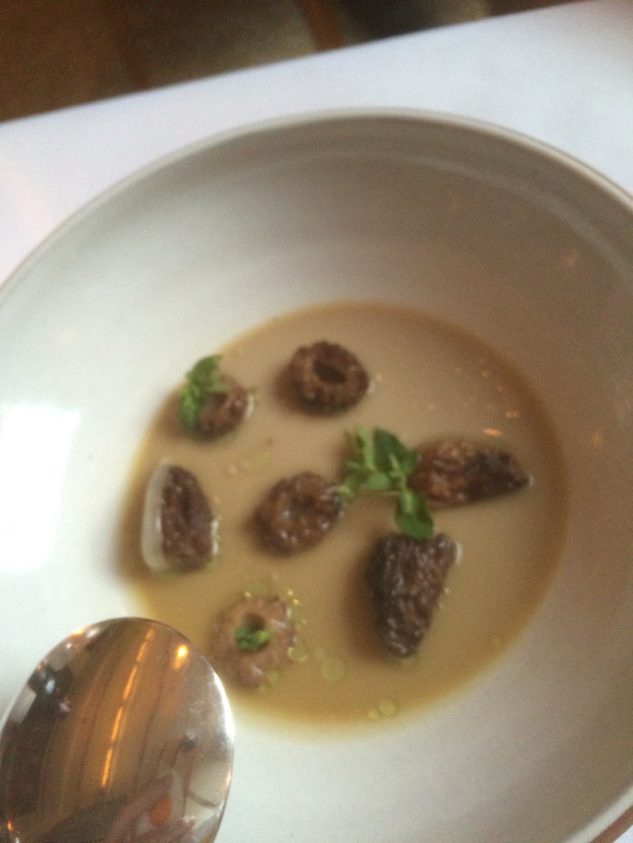 morel mushroom mousse recipe