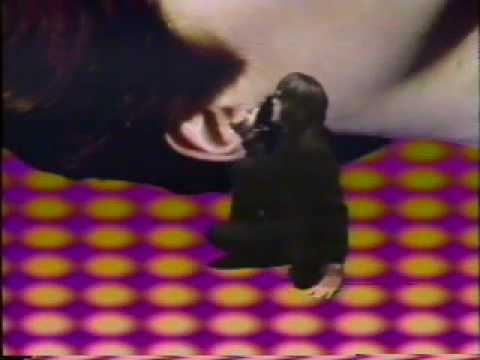 Todd Rundgren music video