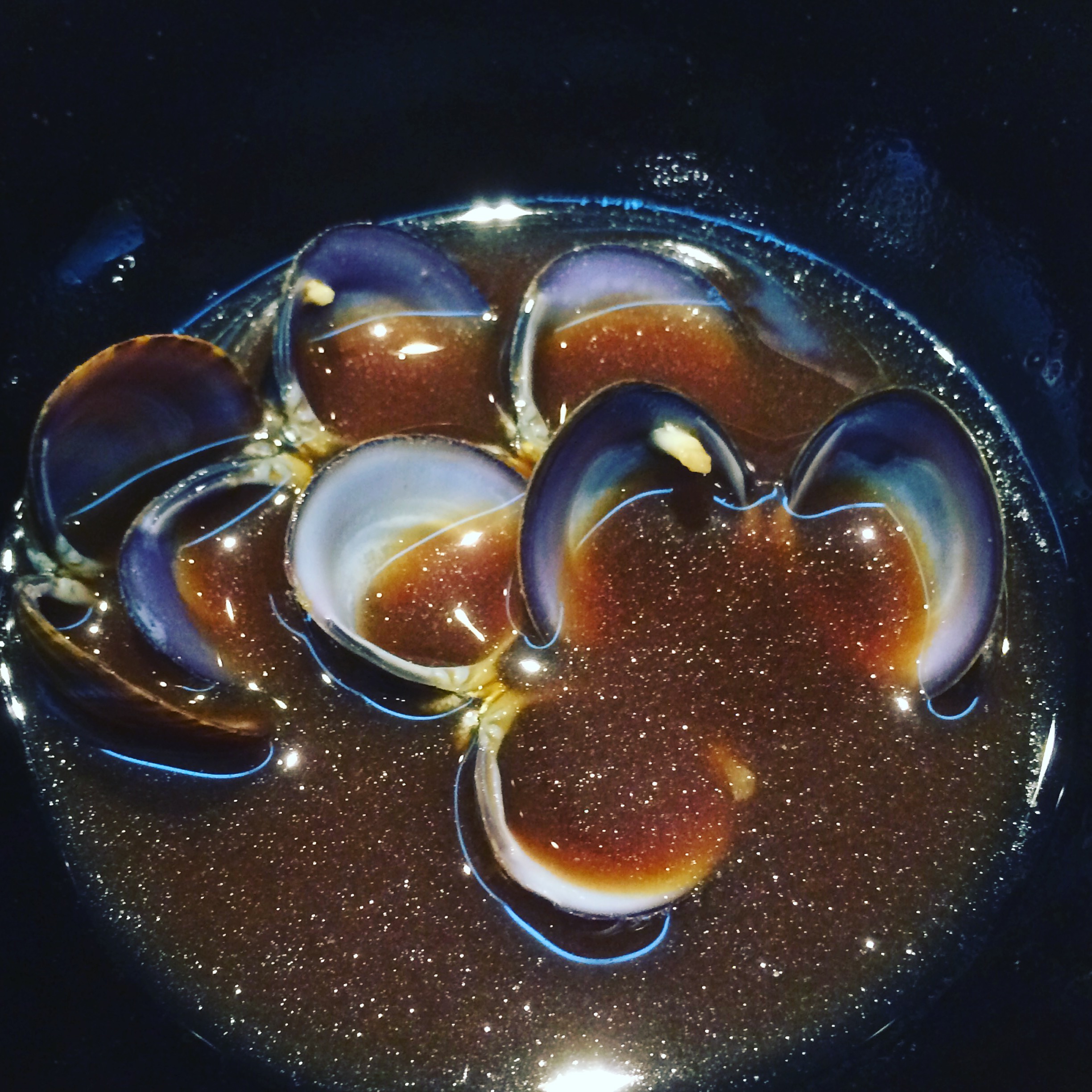 clam miso nectar