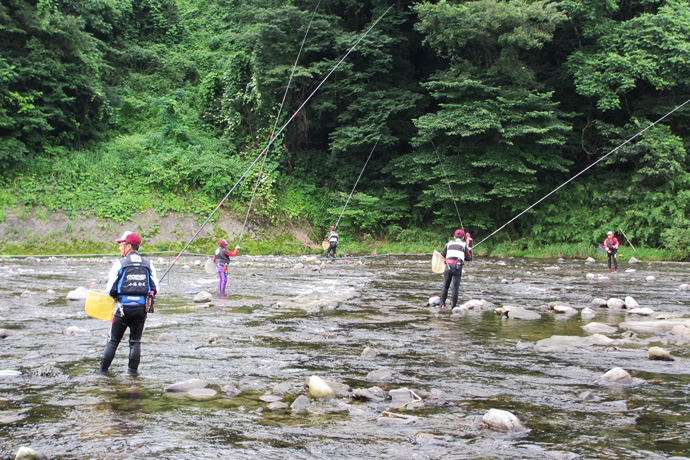 japanese fisherman ayu