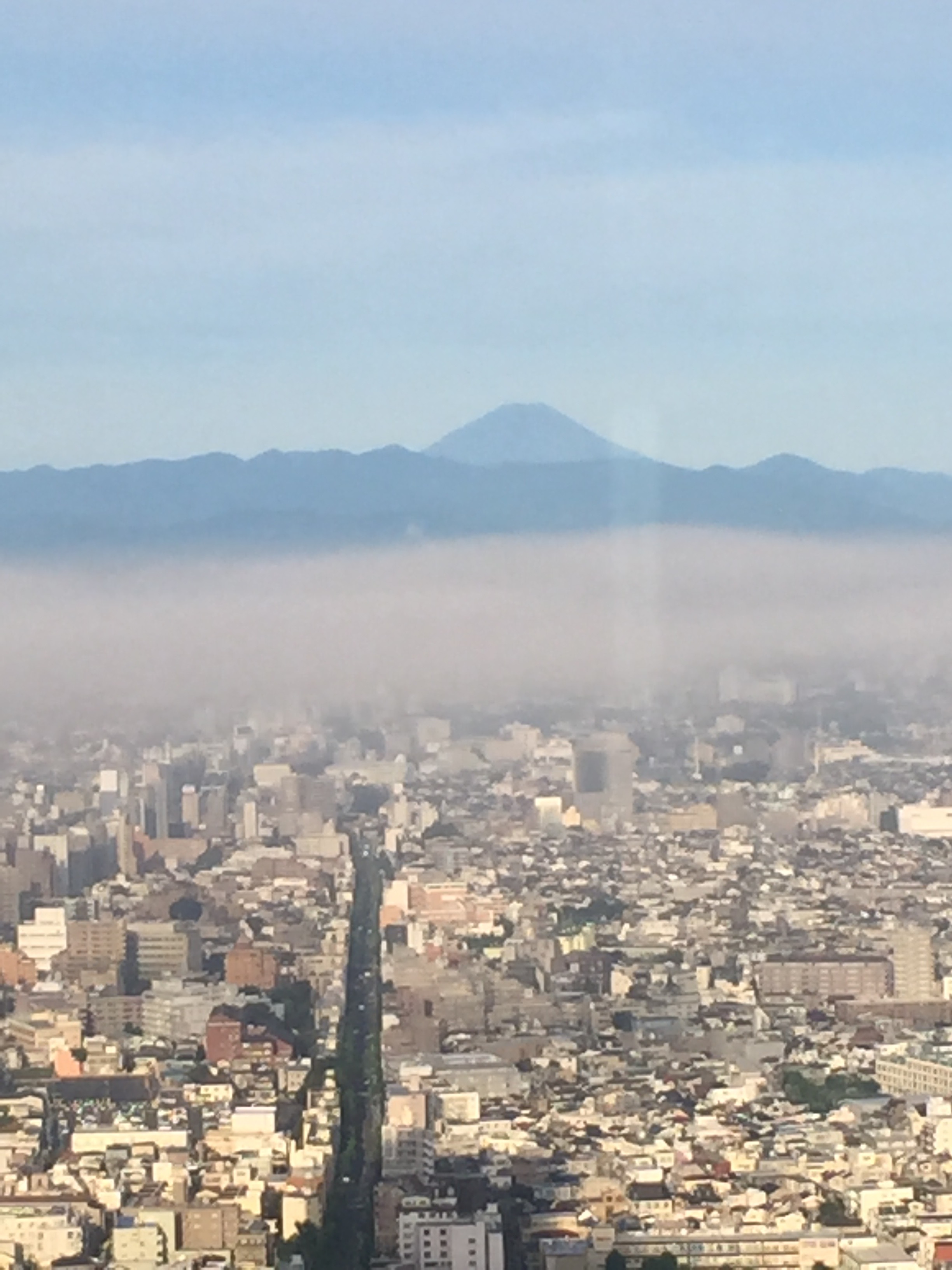 Mount Fuji from Tokyo Park Hyatt