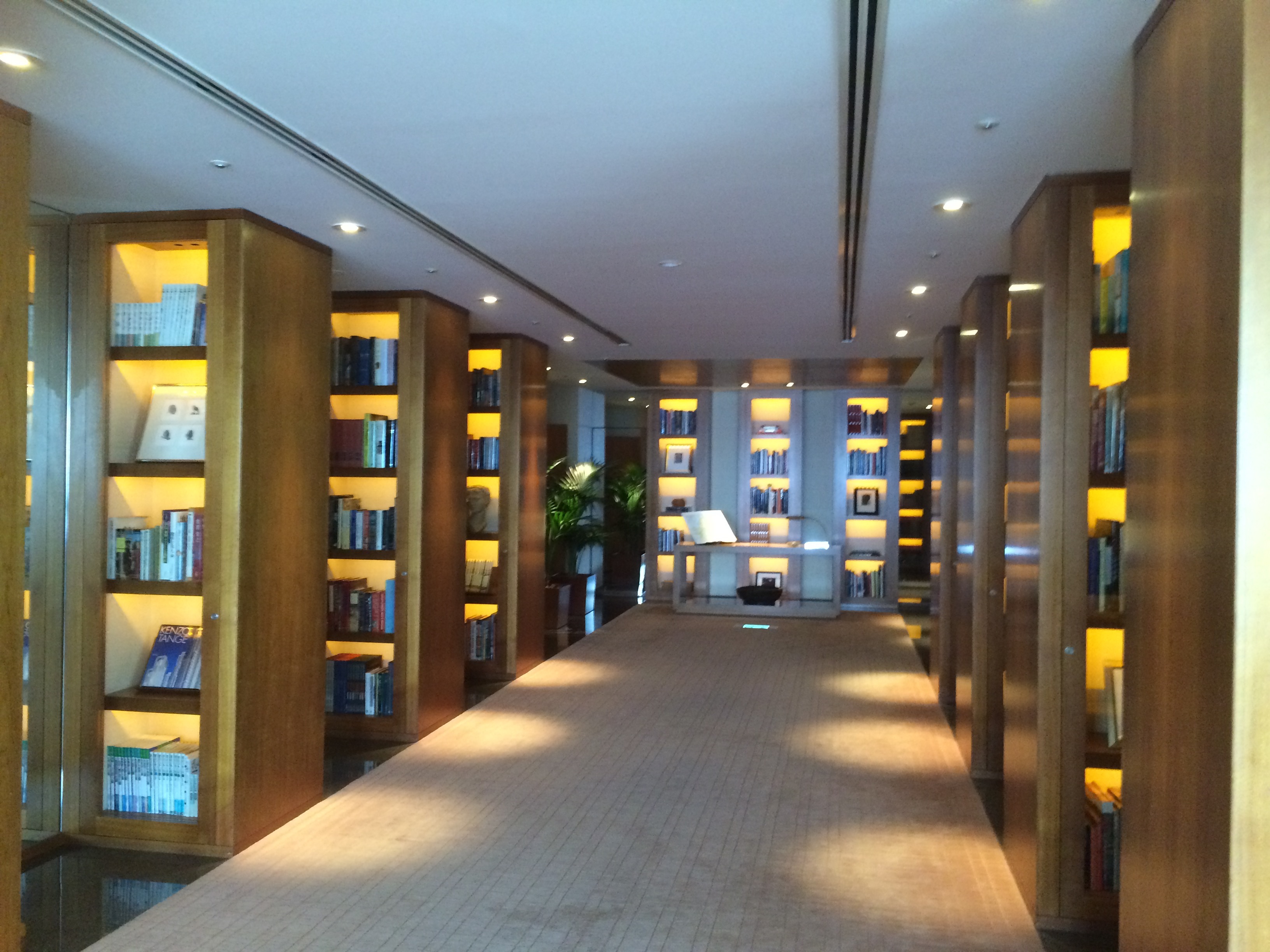 Partk Hyatt library