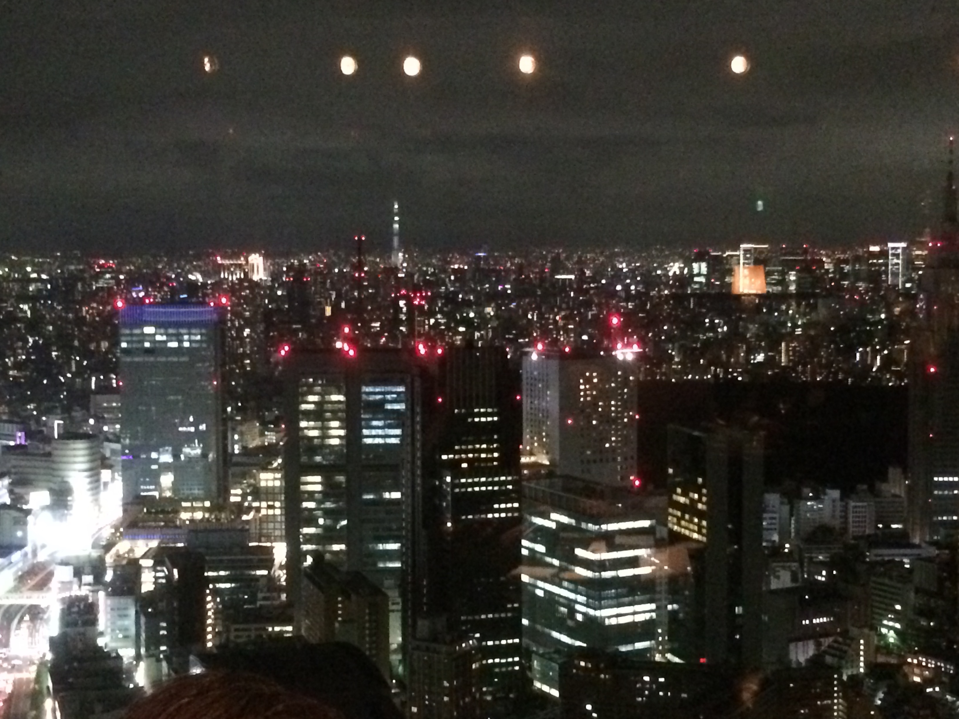 The Park Hyatt view at night