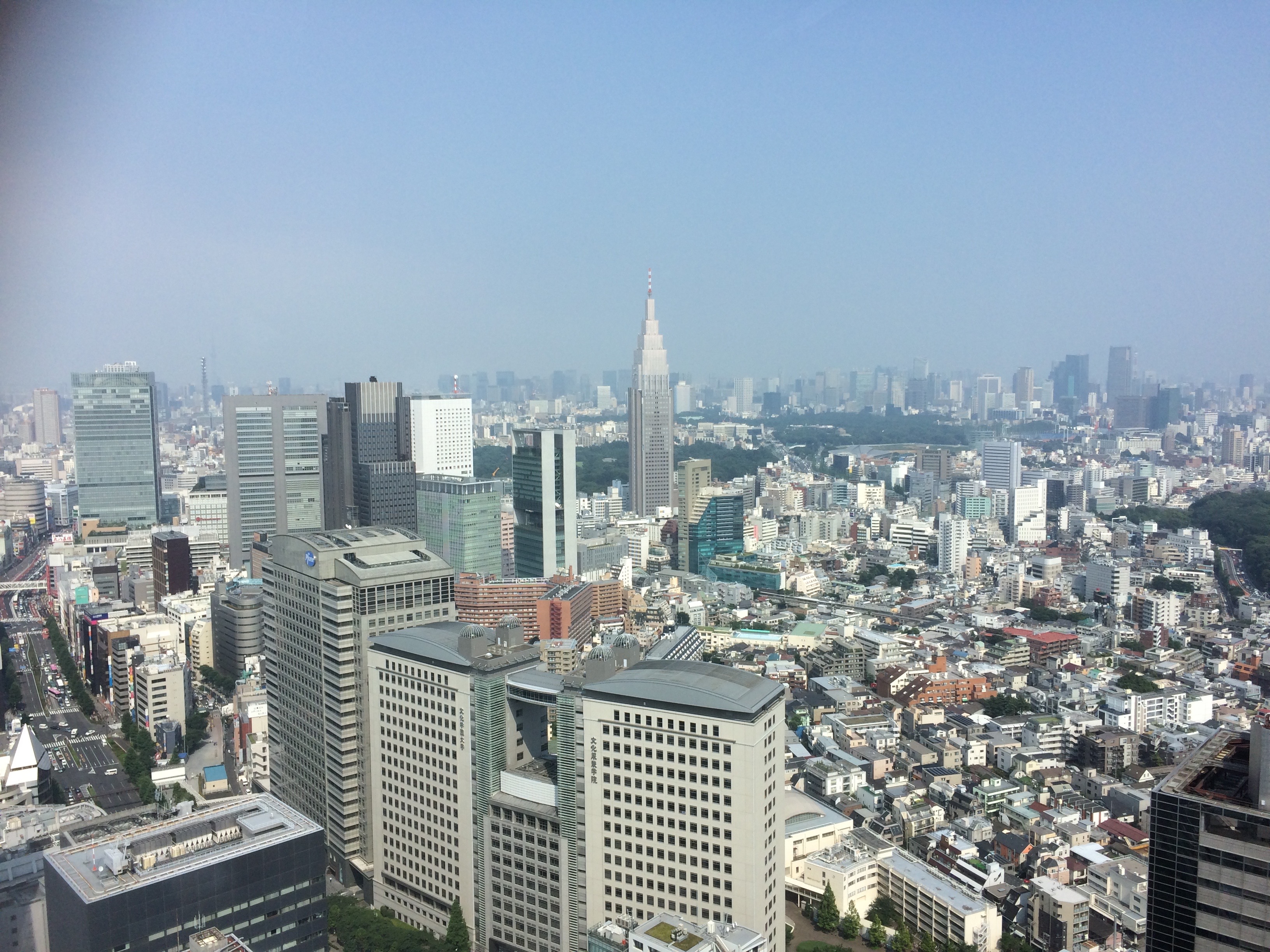 The view from the Park Hyatt