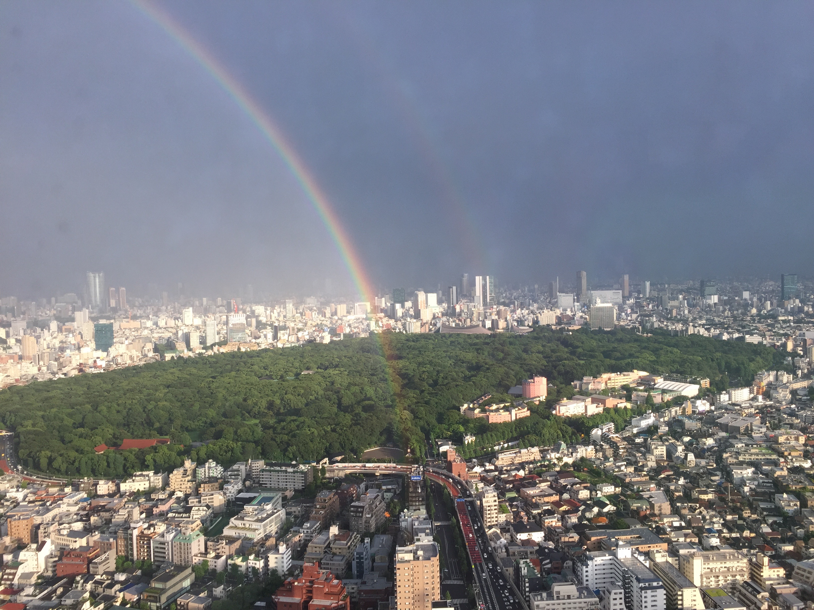 Tokyo rainbow 2016