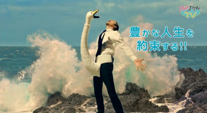 wacky-iphone-device-holder-swan