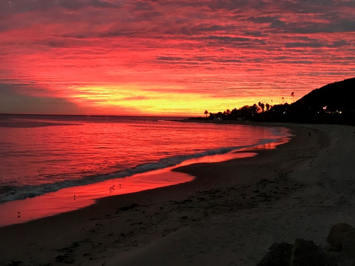 story-monster-party-sunset-12-21-16