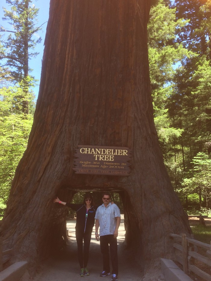 alex-duda-john-rieber-chandelier-tree