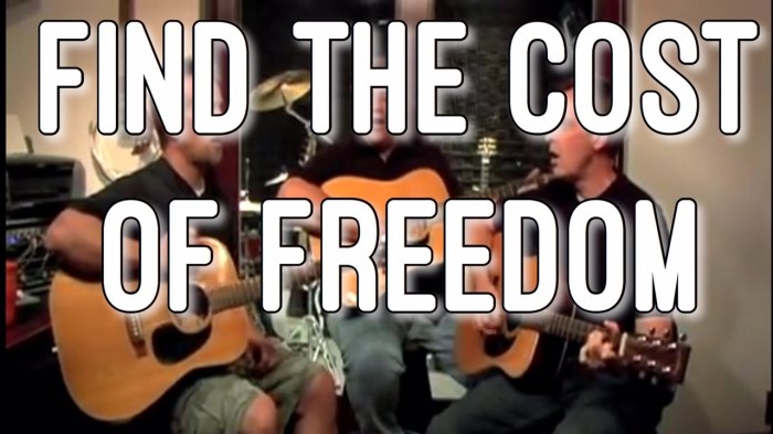 find-the-cost-of-freedom