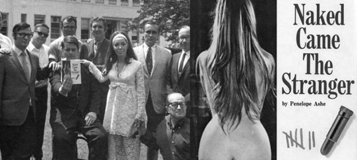 naked-came-the-stranger-hoax