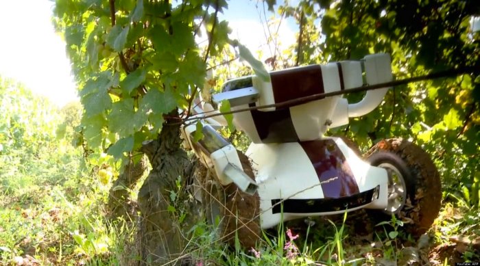 o-wallye-wine-robot-facebook