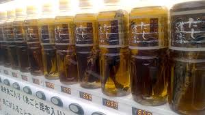 vending-machine-flying-fish