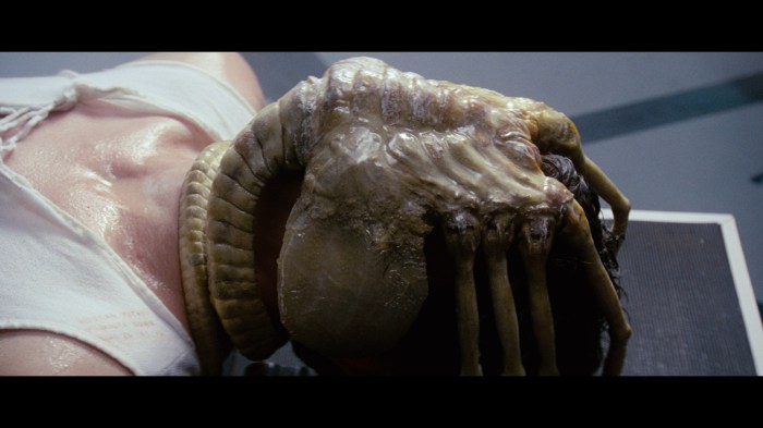alien-face-hugger