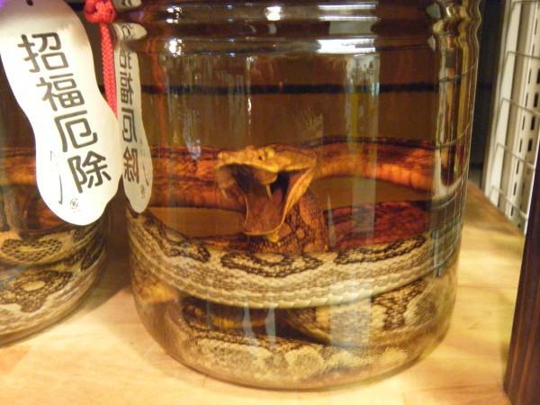 habu-sake-japanese-snake-wine-7