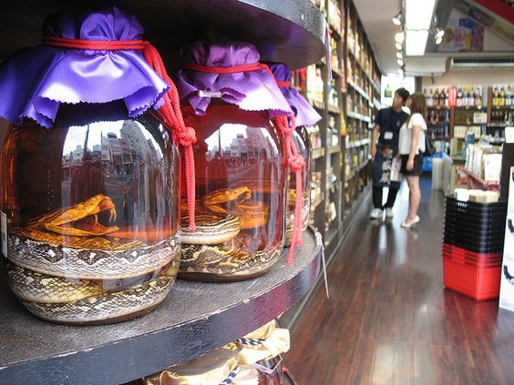 habu-sake-snake-wine-japan