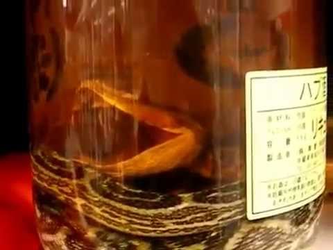 hubusan-snake-wine-from-japan