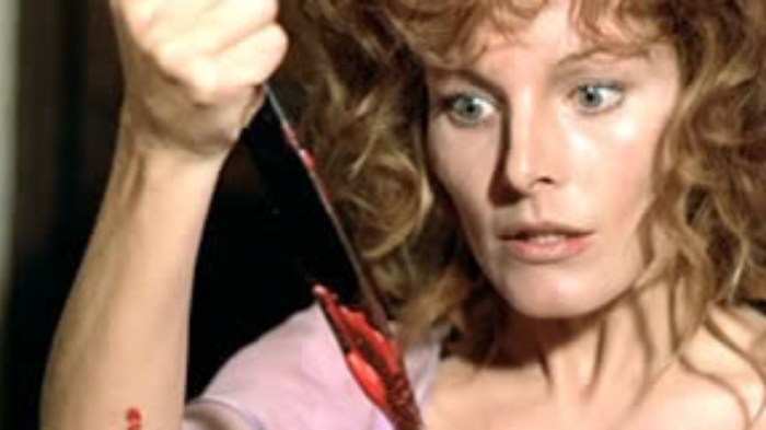 Your vice classic italian giallo