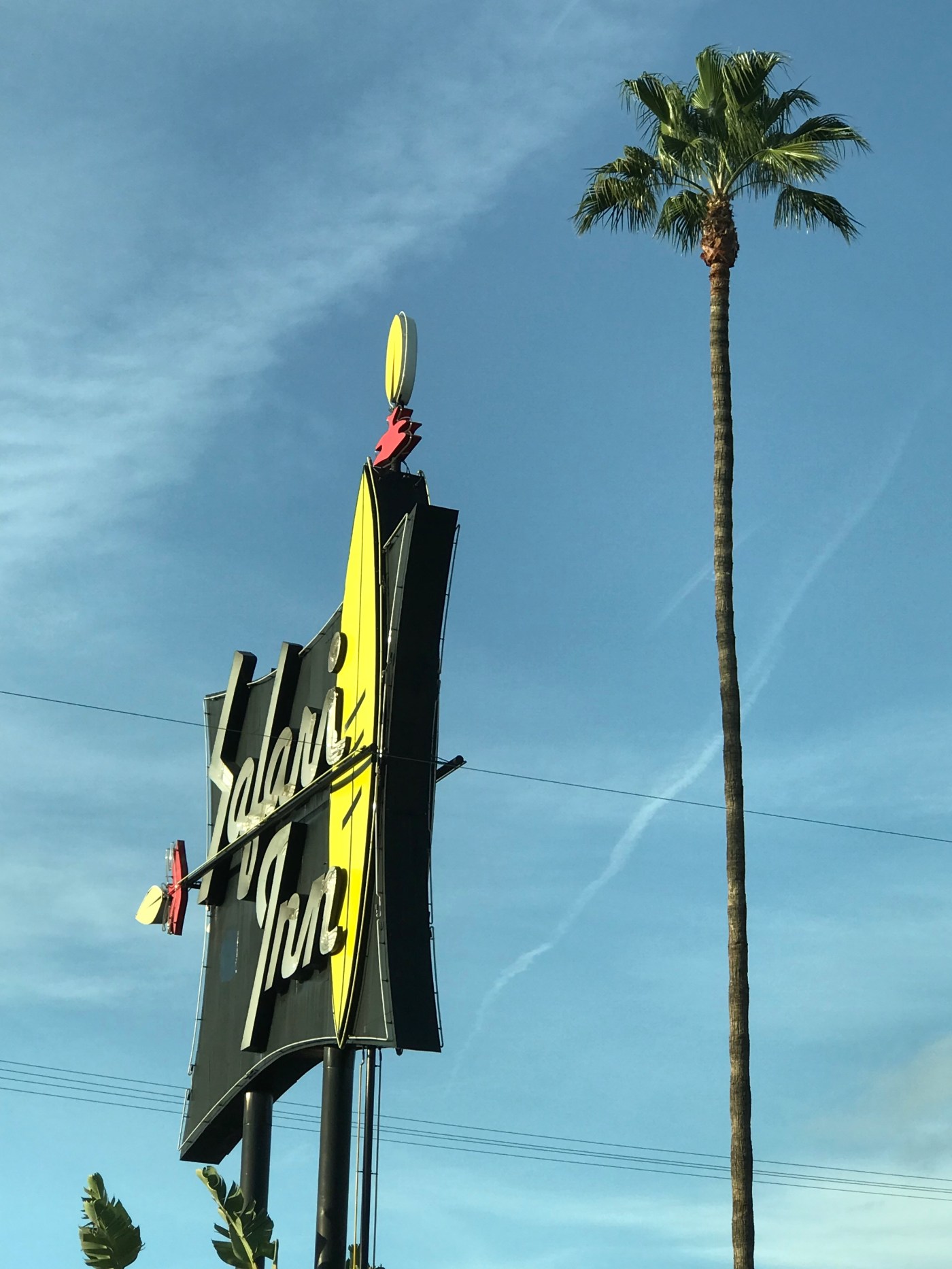 Check Into The Safari Inn! Burbank’s Iconic Motel! My Movie Close ...