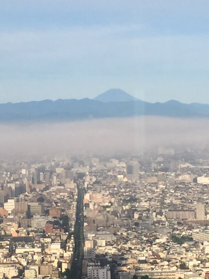 Mount Fuji from Tokyo Park Hyatt