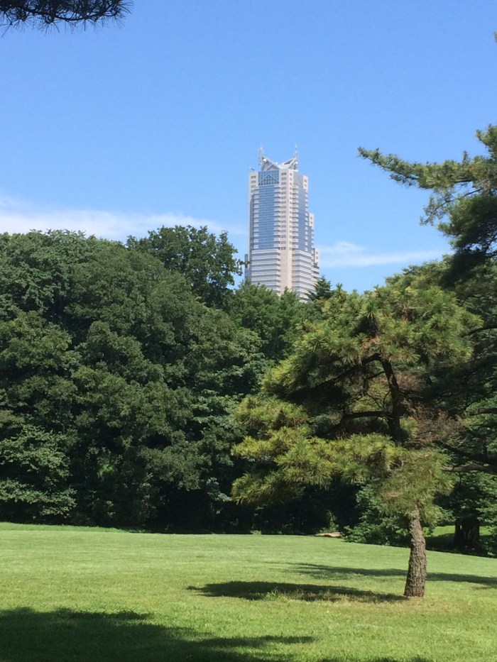 Park Hyatt from Tokyo park