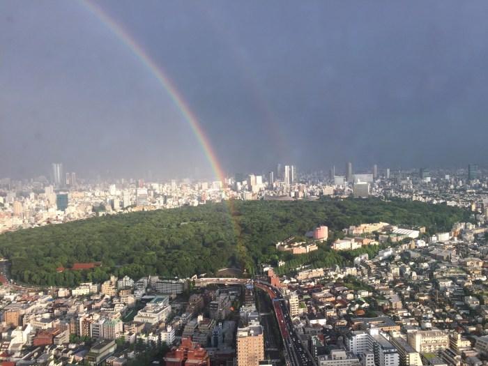 Tokyo rainbow 2016