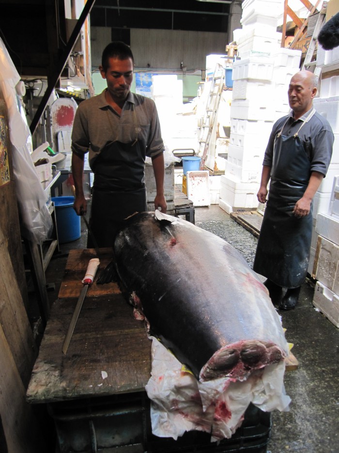 Tokyo fish market closing giant tuna