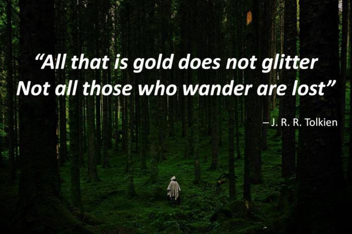 “All that is gold does not glitter
Not all those who wander are lost”
─ J. R. R. Tolkien
In the background is a wanderer in a dark, green forest
