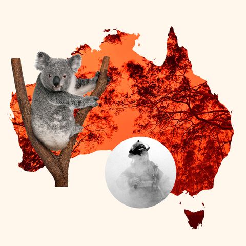 84C1C826-7DEC-4F3C-B356-C36E0CA225AC