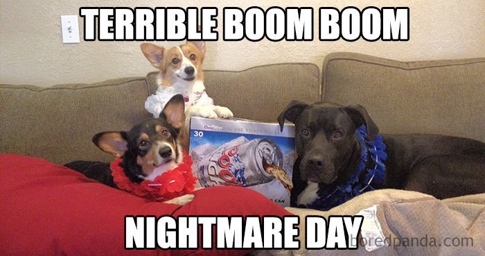 03DB11DA-EDF4-4BAF-A09D-5518E070F3BB