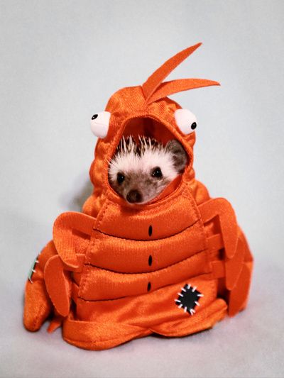 05E5D1CB-A4F1-4618-8B81-579700564C24